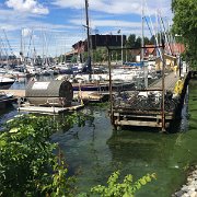 IMG 4609