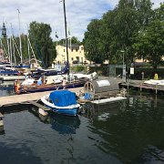 IMG 4611